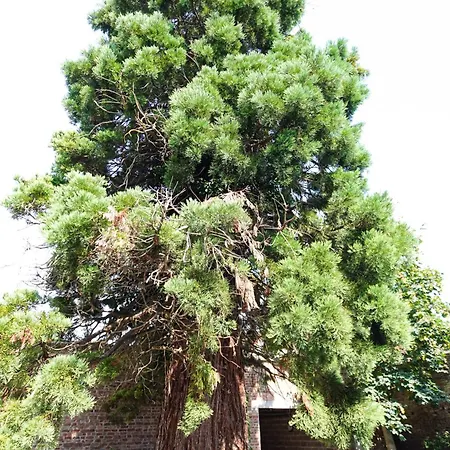 Au Tonnelier Hotel 3*